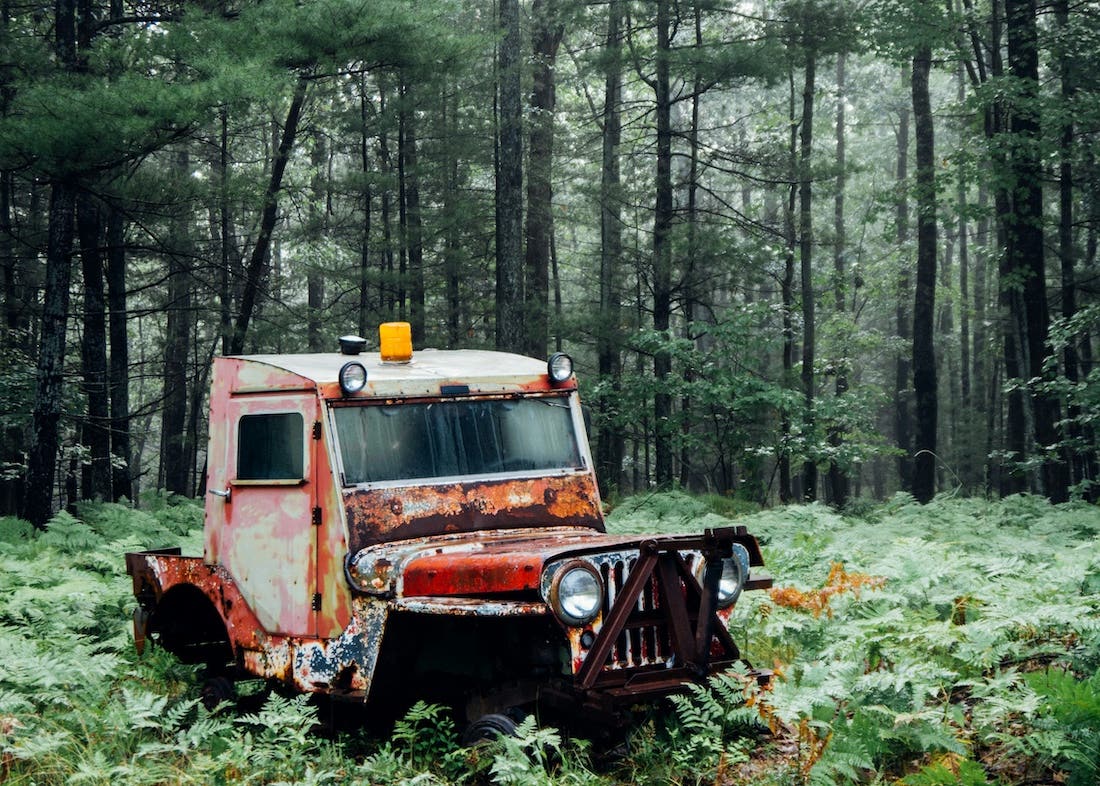 An old, severely rusted and weathered Jeep-like vehicle sits abandoned in a dense forest. The vehicle is a mix of faded red and peeling white paint, with visible rust covering much of its body. It has a single yellow light on its roof and round headlights on the front. Tall, slender green trees with sparse foliage fill the background, suggesting a misty or damp environment, and the ground is covered in lush green ferns and undergrowth.